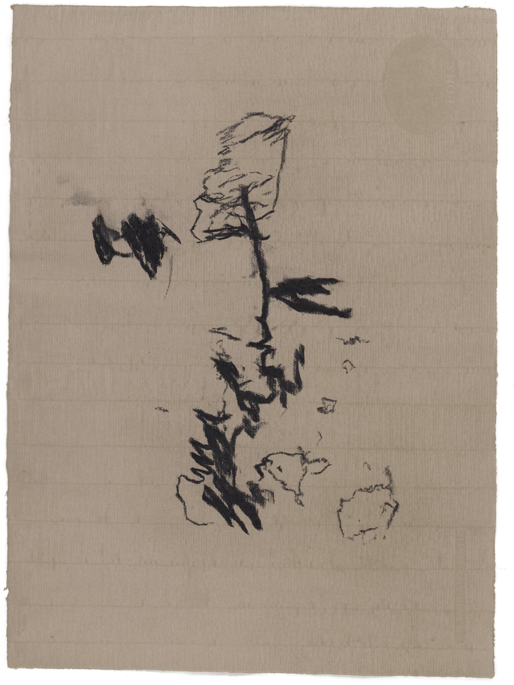 Body Drawing 95