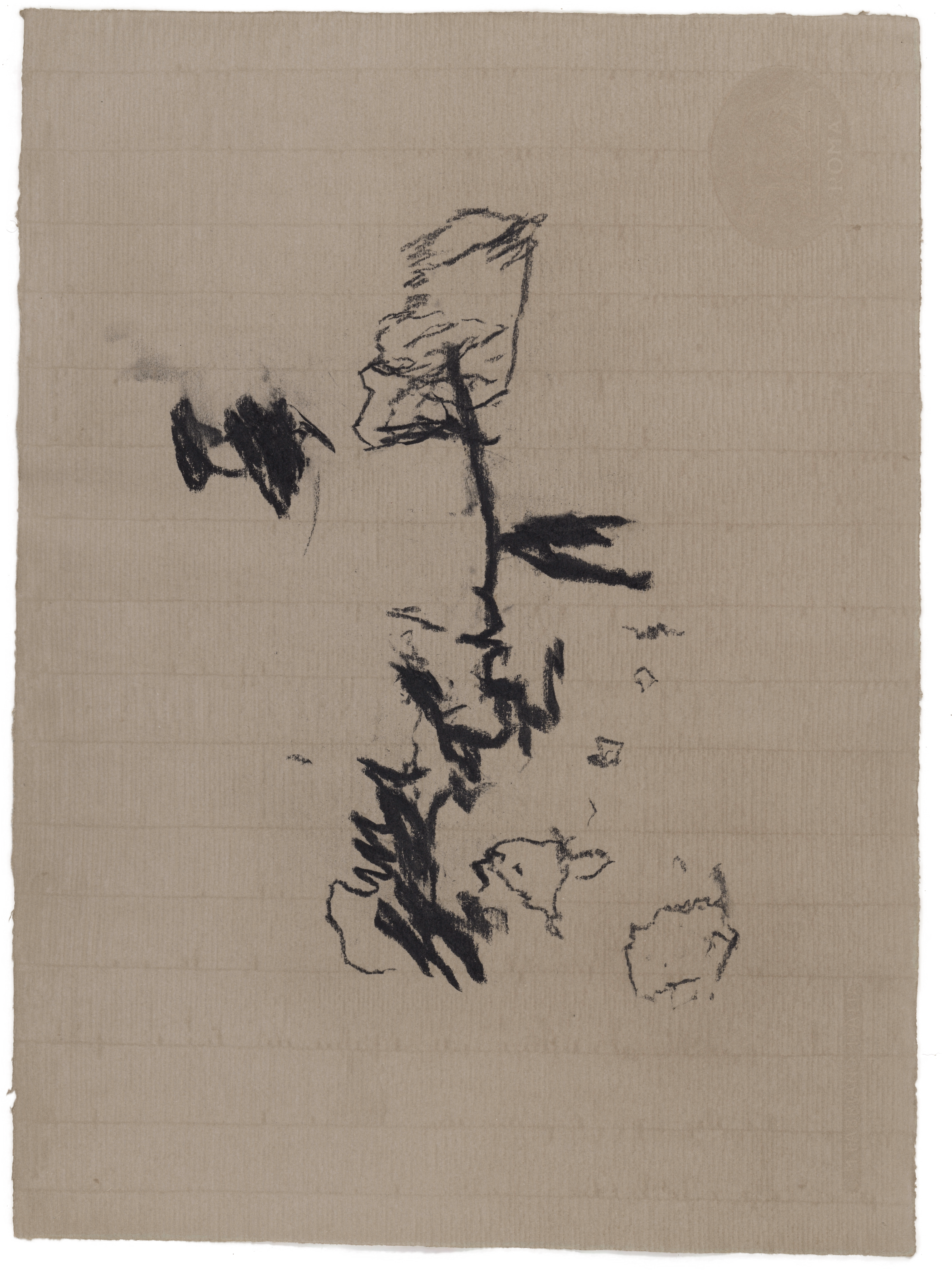 Body Drawing 95 — (2024) — charcoal on paper — 58 x 78 cm
