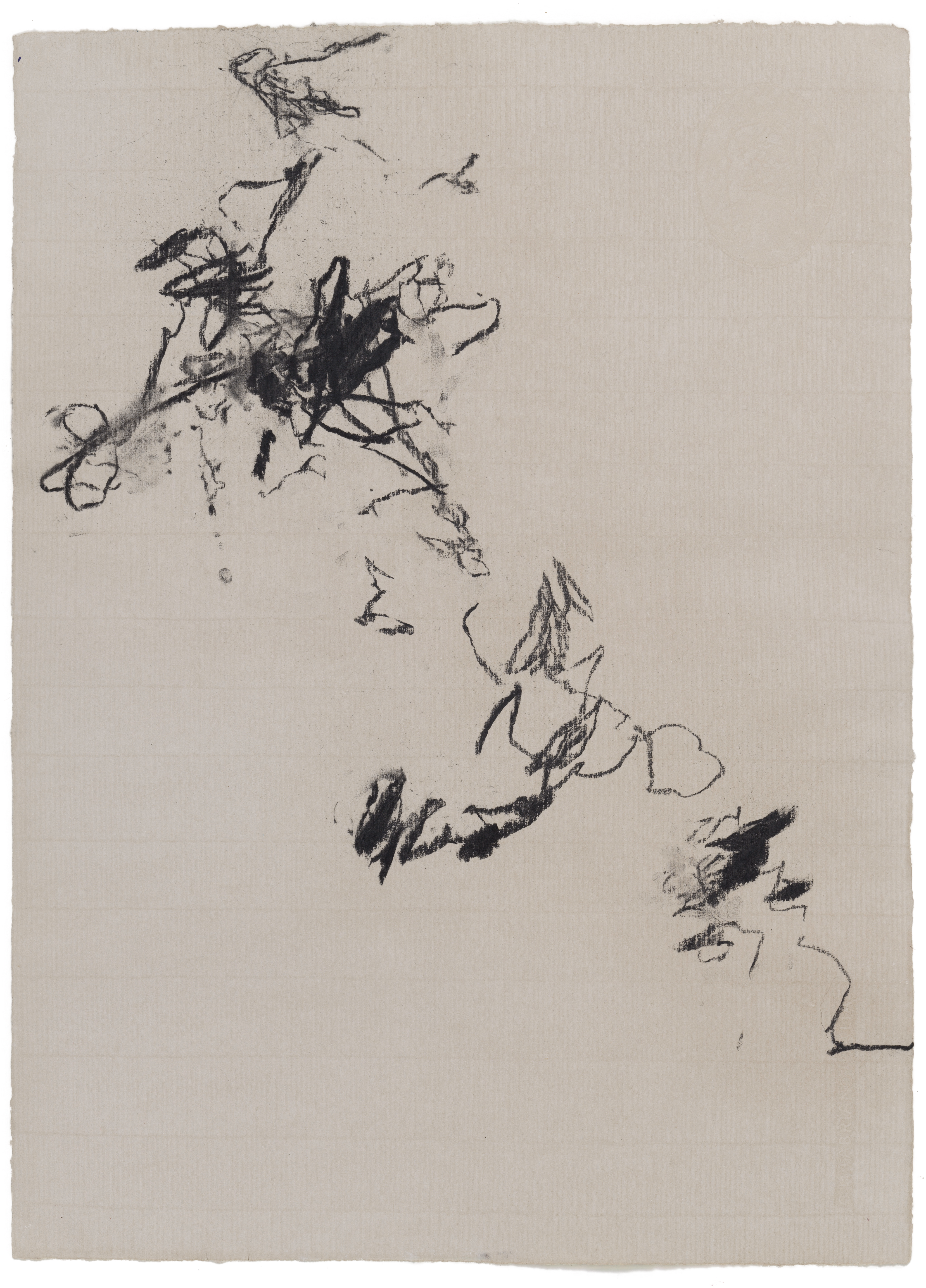 Body Drawing 96 — (2024) — charcoal on paper — 58 x 78 cm