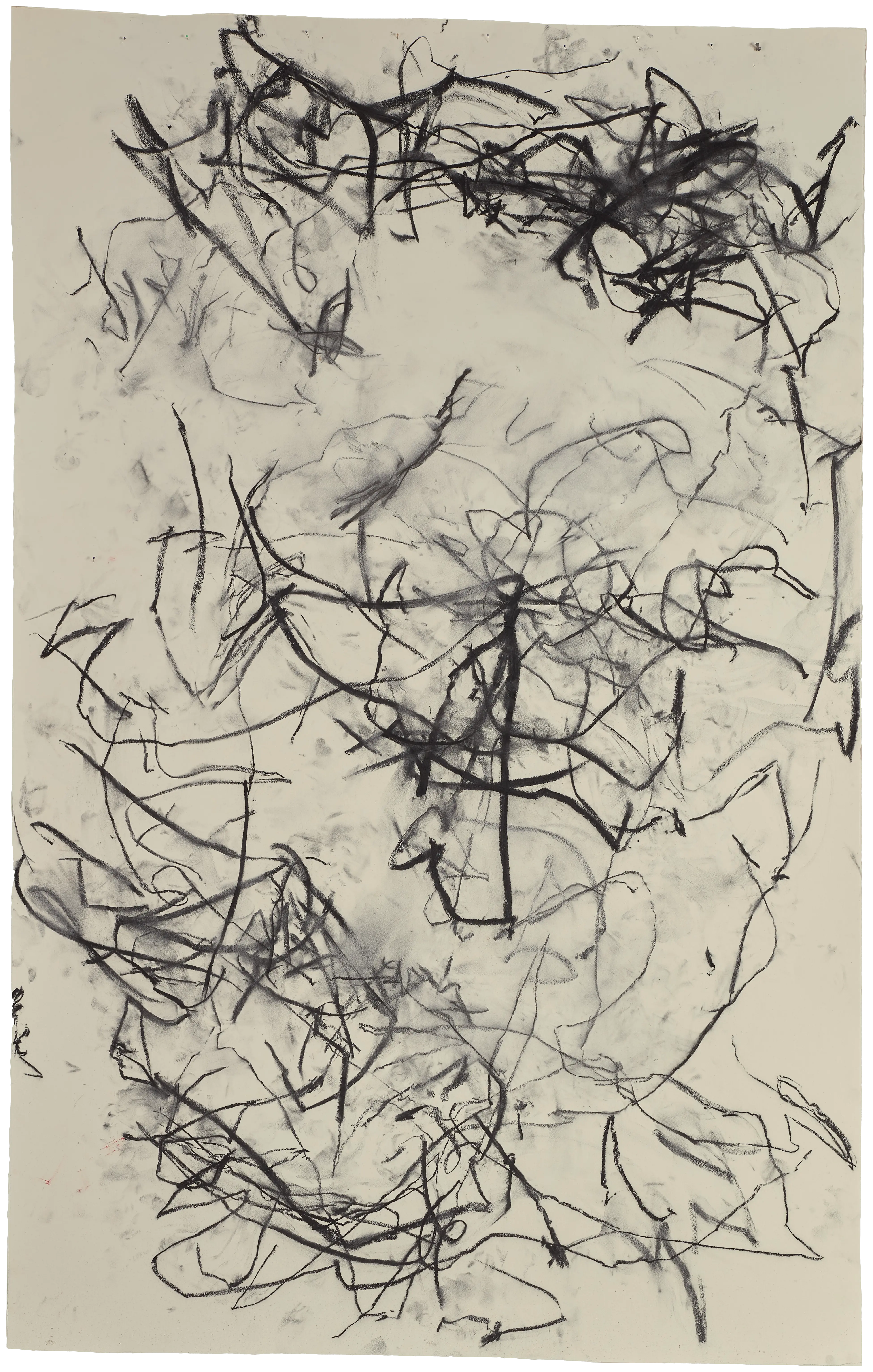 Body Drawing 5
