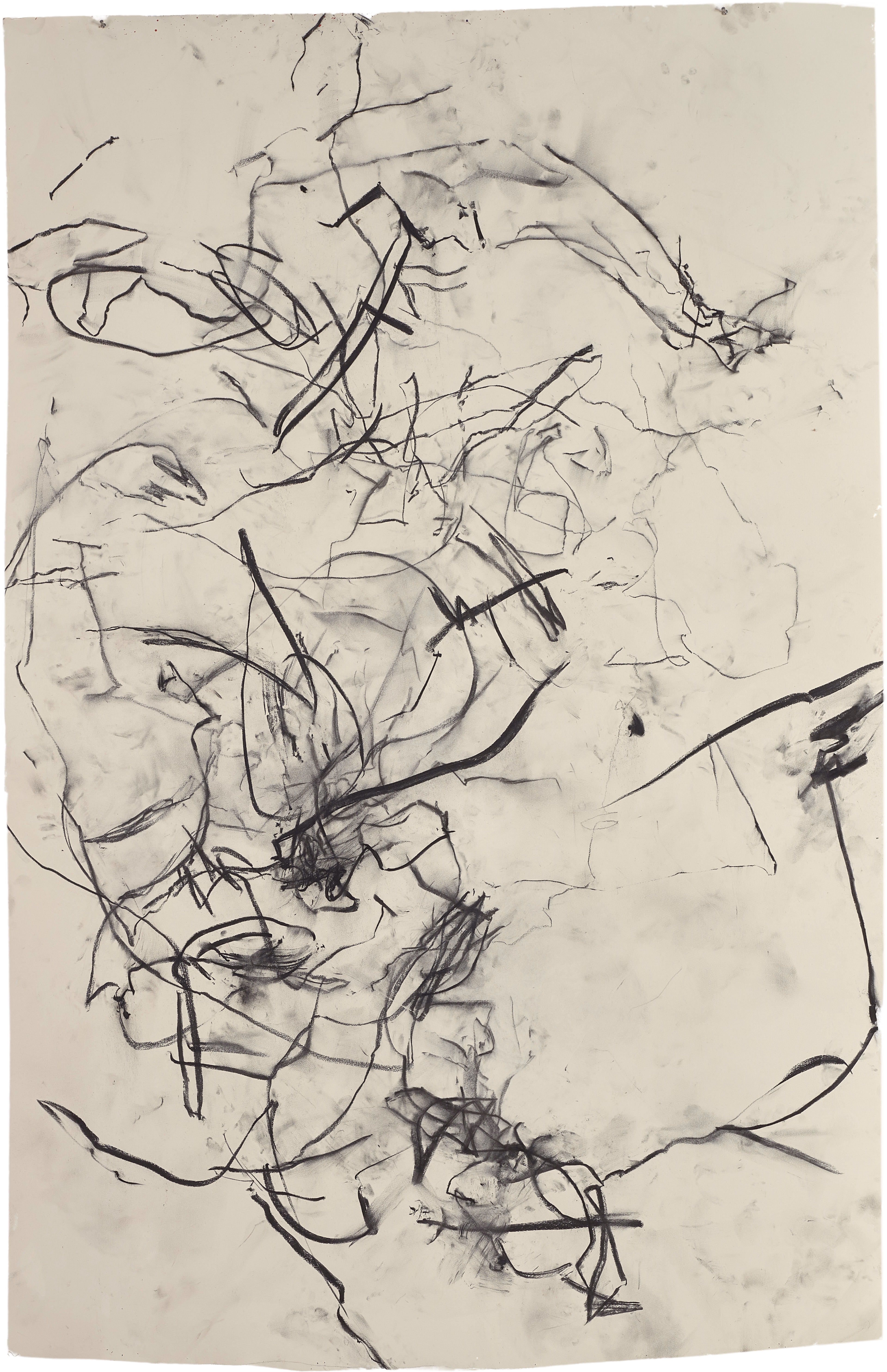 Body Drawing 6 — (2023 - 2024) — charcoal on paper — 154 x 230 cm