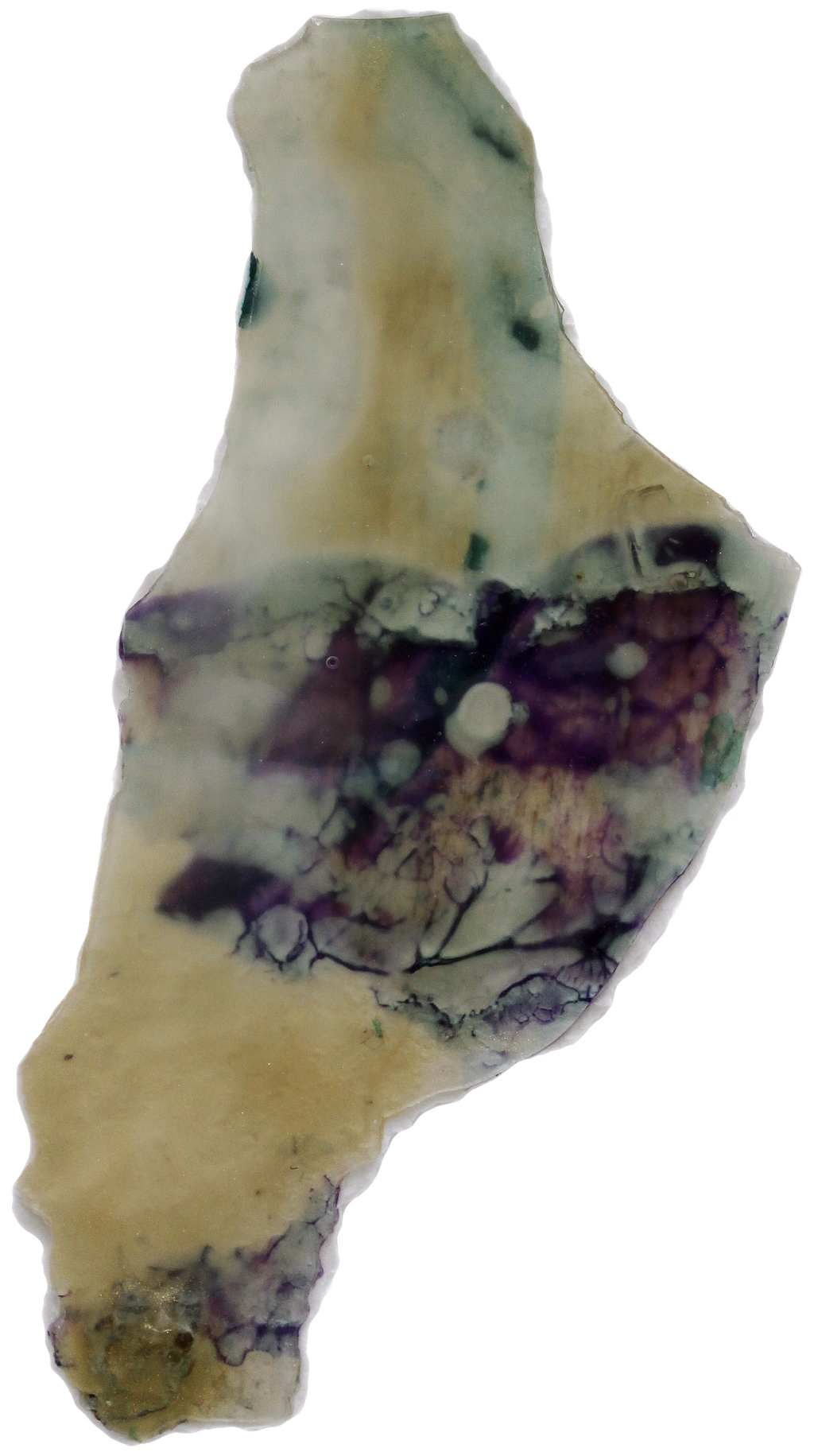 Fragment 7