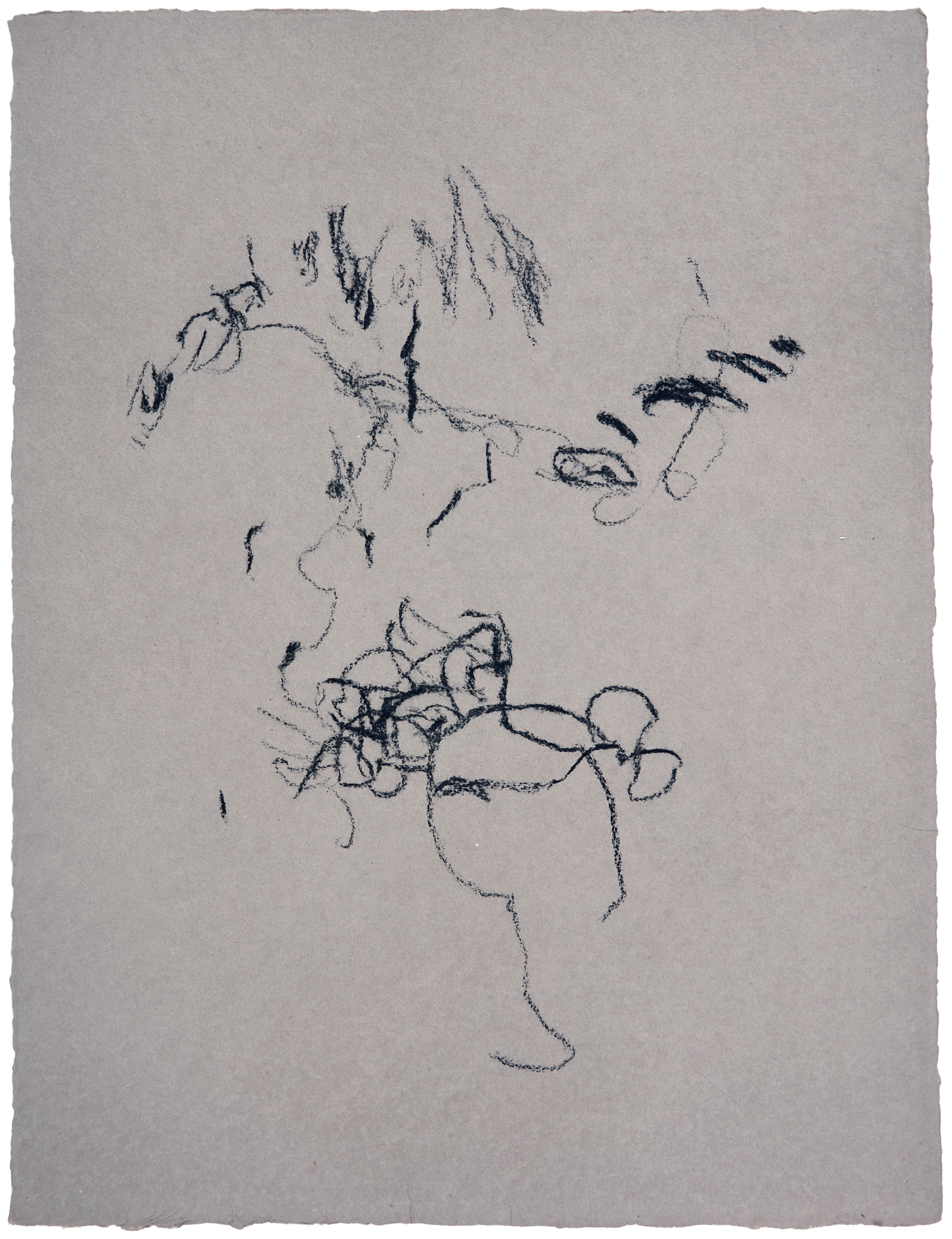 Garlo Drawing #12 — (2019) — charcoal on handmade cotton paper — 52 x 66 cm