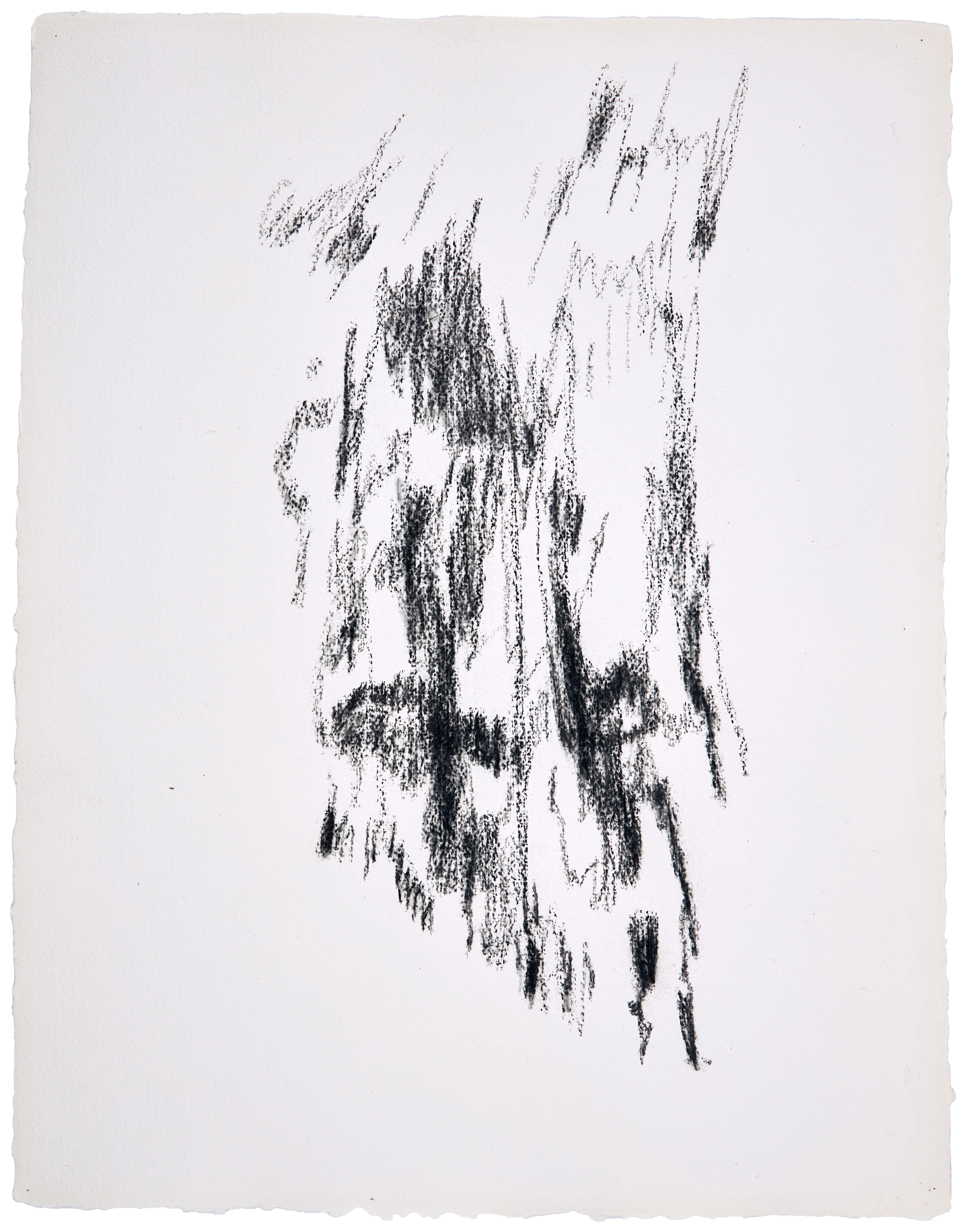 Garlo Drawing #3 — (2017) — charcoal on handmade cotton paper — 52 x 66 cm