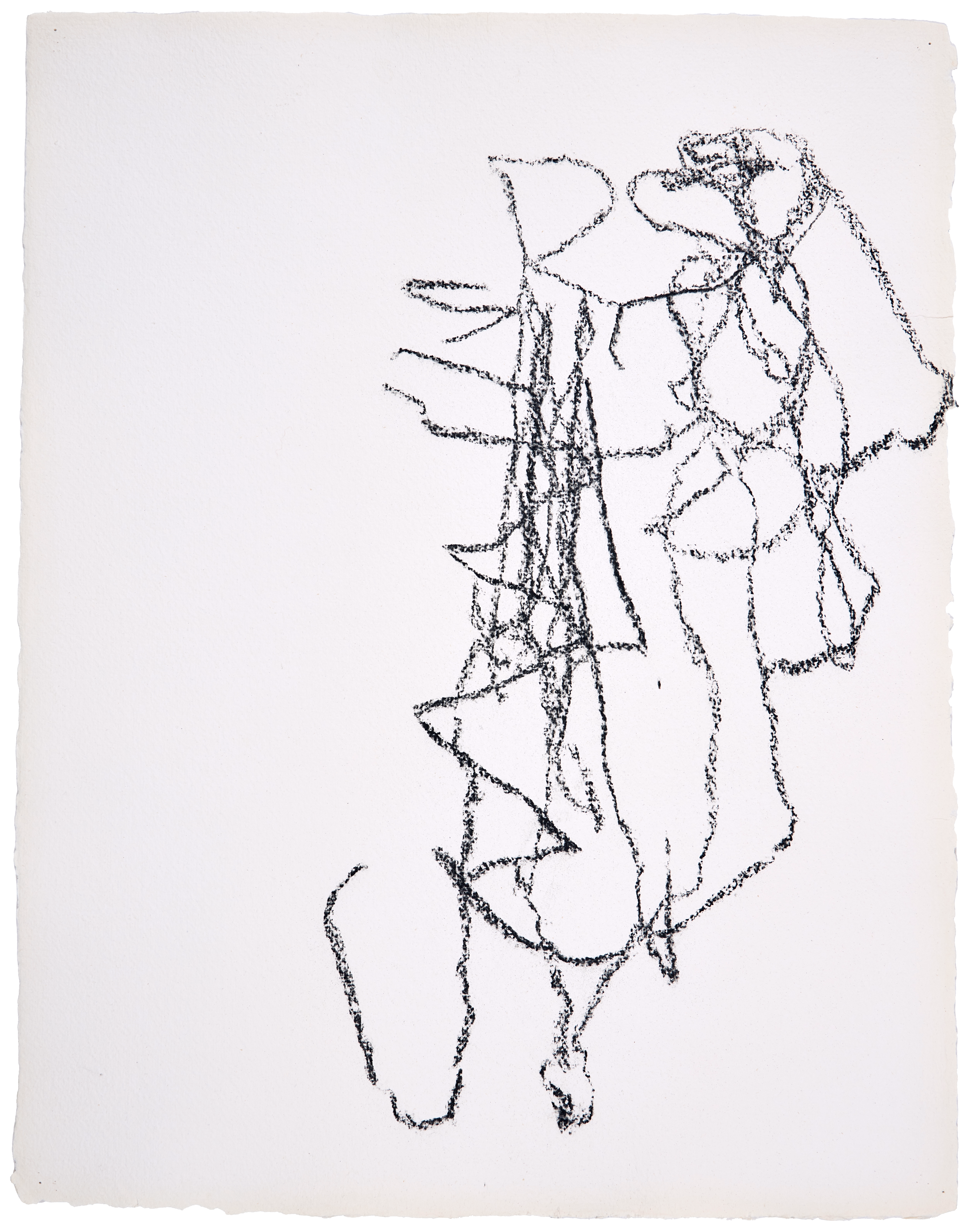 Garlo Drawing #9 — (2017) — charcoal on handmade cotton paper — 52 x 66 cm