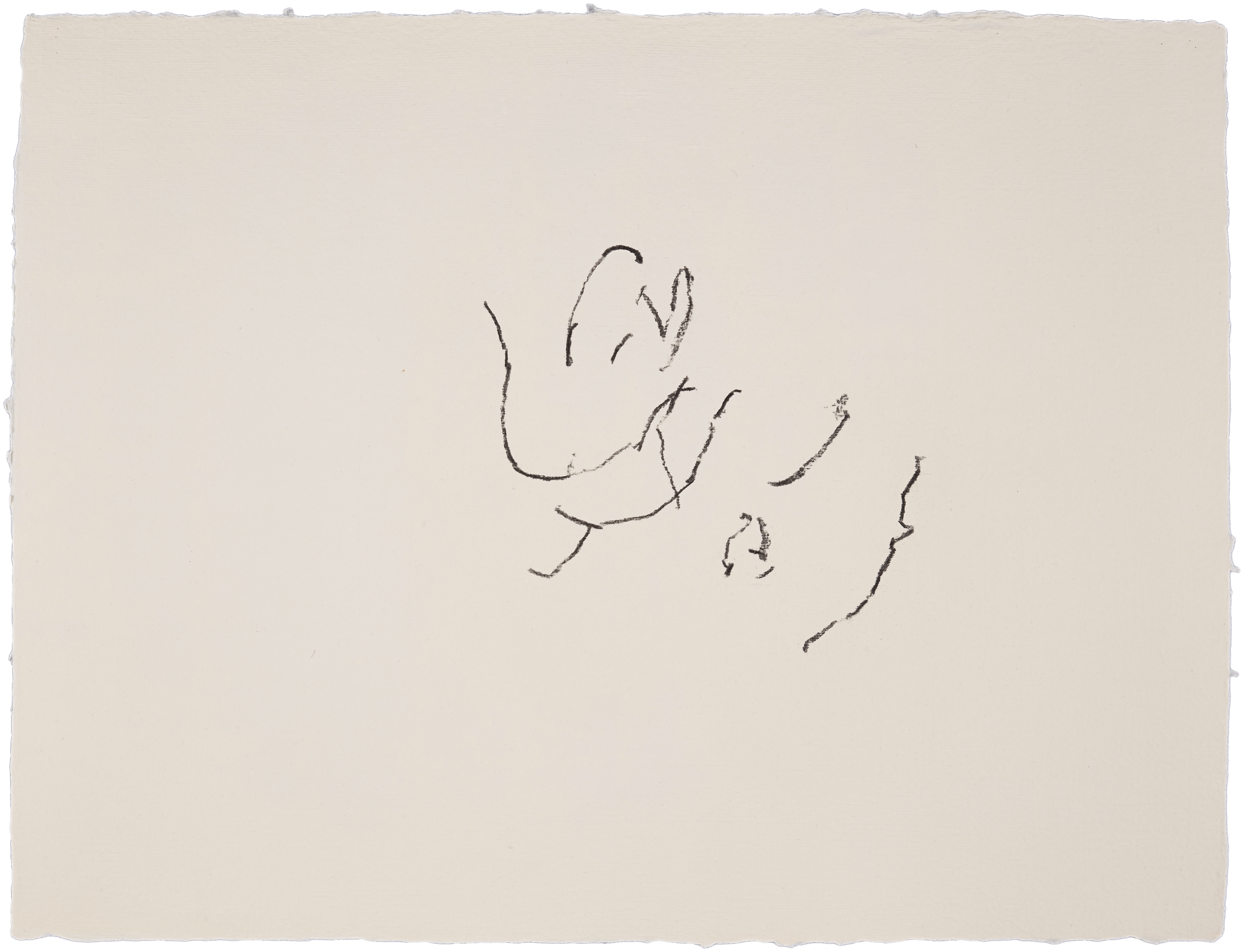 Pure Abstraction #34 — (2013) — charcoal on handmade cotton paper — 65 x 50 cm