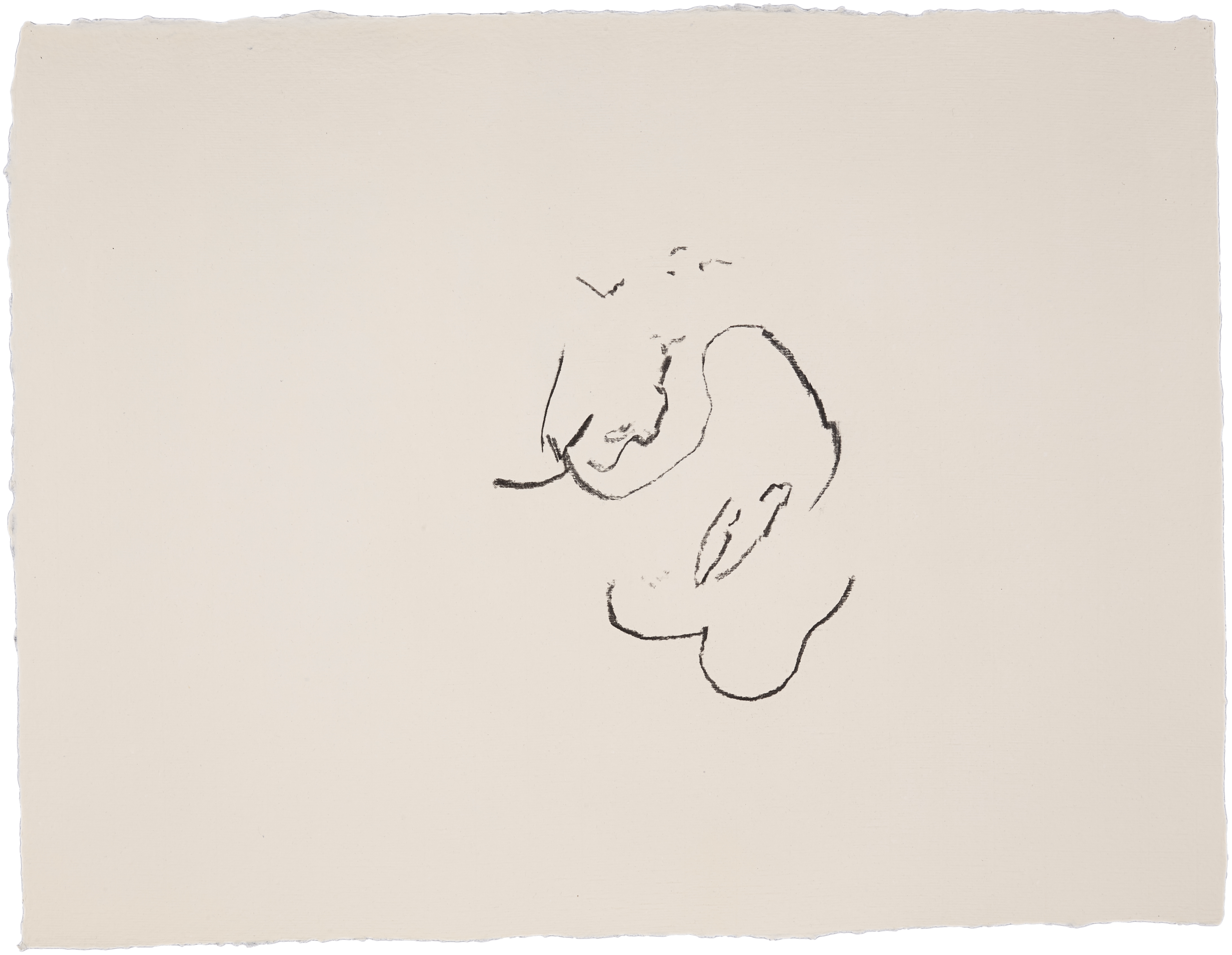 Pure Abstraction #59 — (2013) — charcoal on handmade cotton paper — 65 x 50 cm