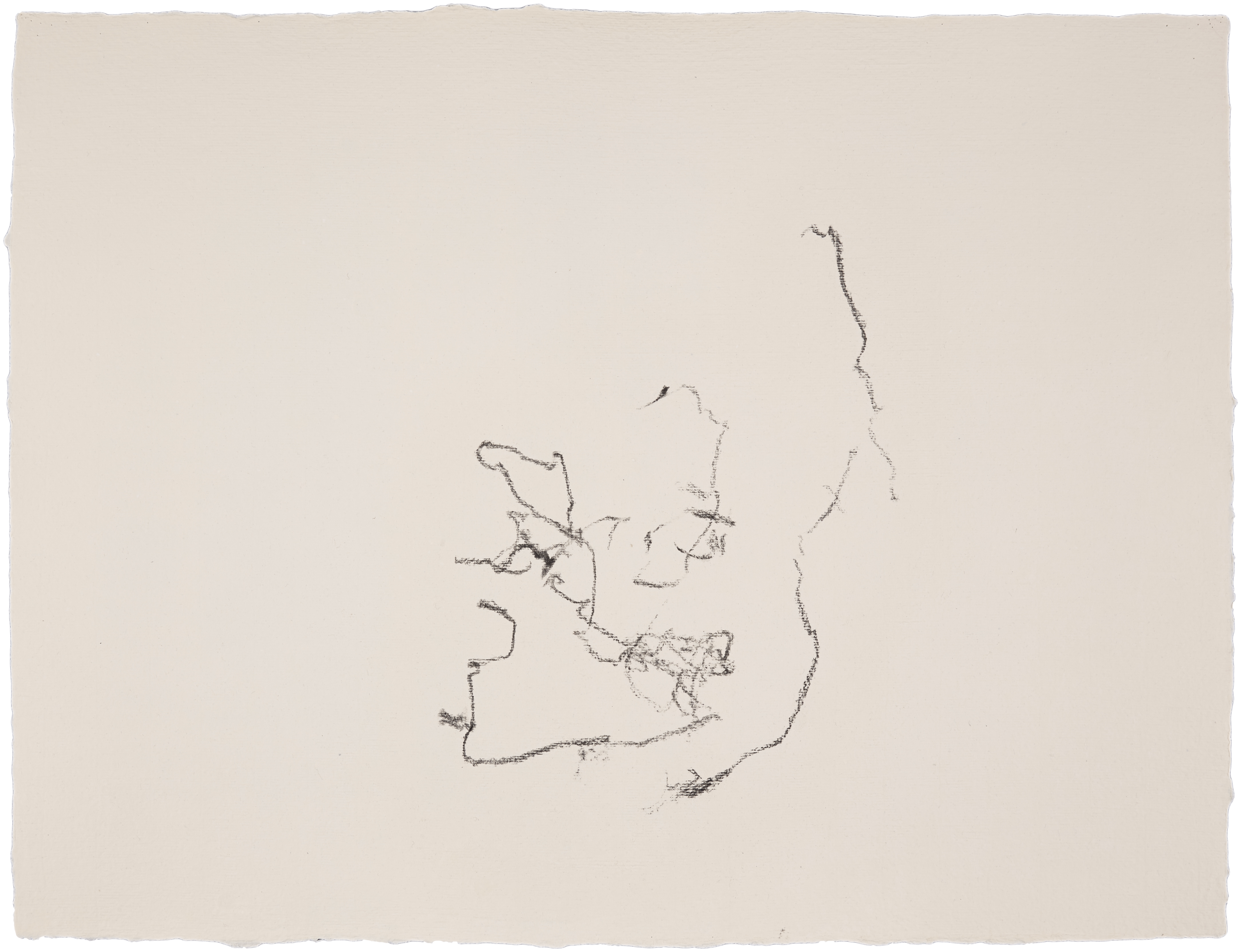Pure Abstraction (China #1) — (2013) — charcoal on handmade cotton paper — 65 x 50 cm