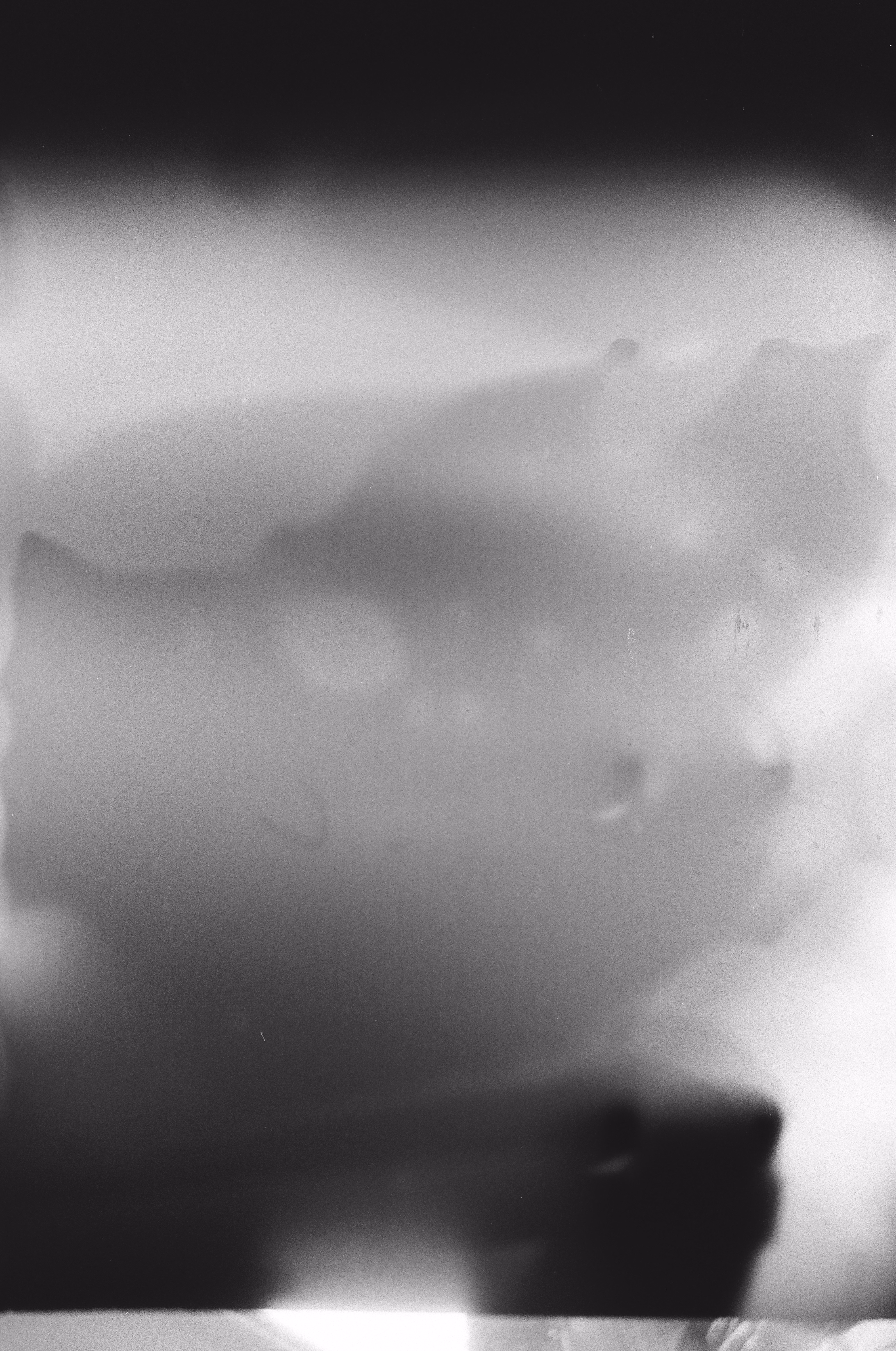 Large Painting Photograph 2 — (2024) — matte print of digital scan from film — 100 x 150 cm