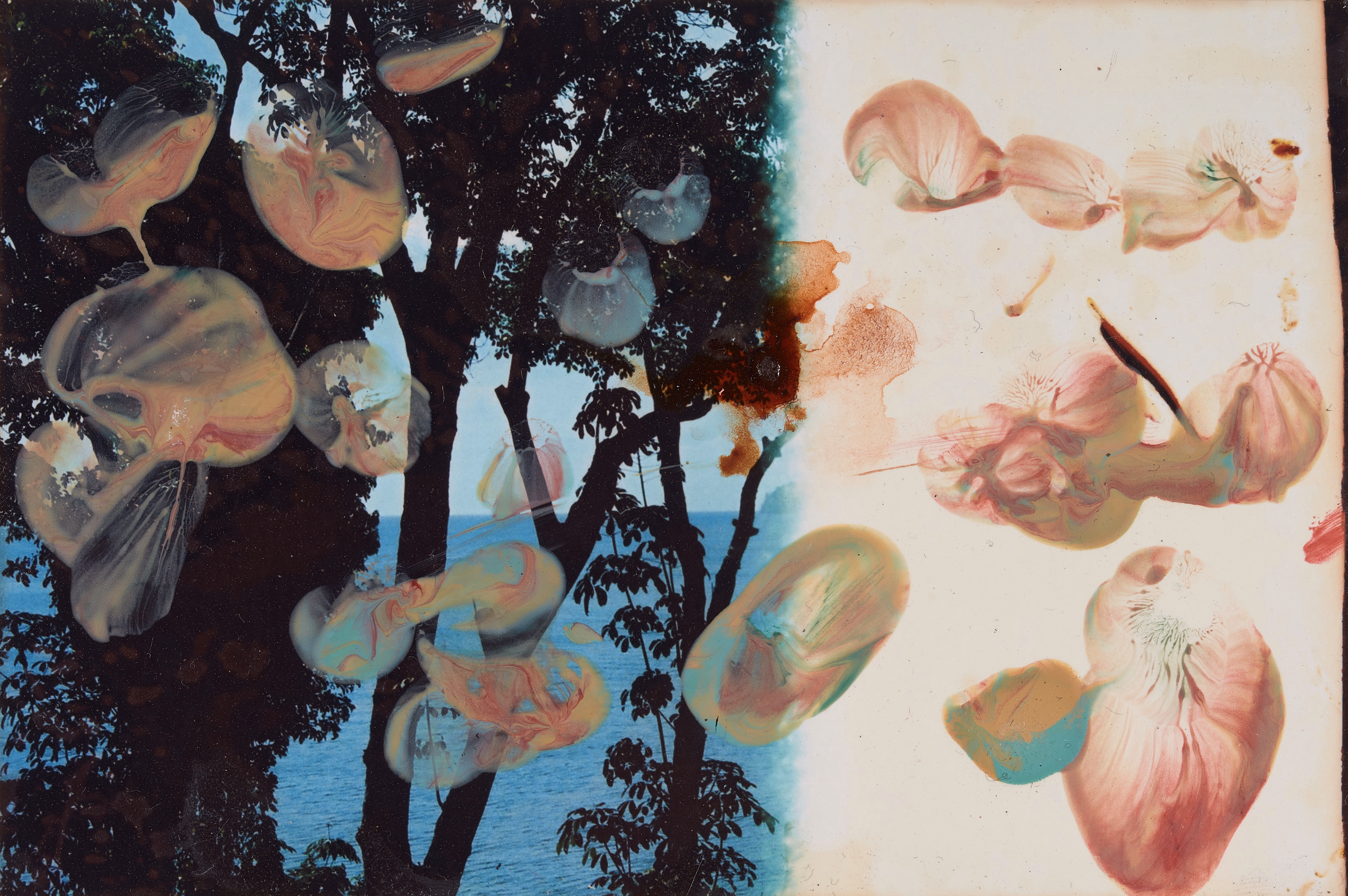 Painting on Small Photograph 4 — (2023) — mixed media on paper — 15.25 x 10.15 cm